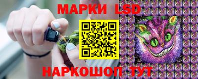 бошки Тверь